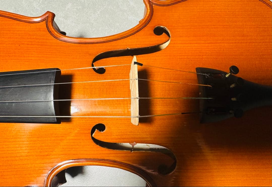 Carlo giordano バイオリン VS-0-44 4/4サイズ