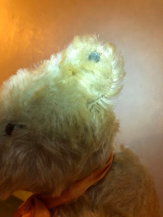 ミドルサイズ シュタイフ 20年代 ホワイト アンティーク シュタイフ