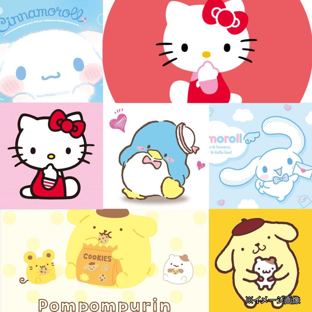 zooの未開封BOX《サンリオ（Sanrio）》限定コラボ生産終了