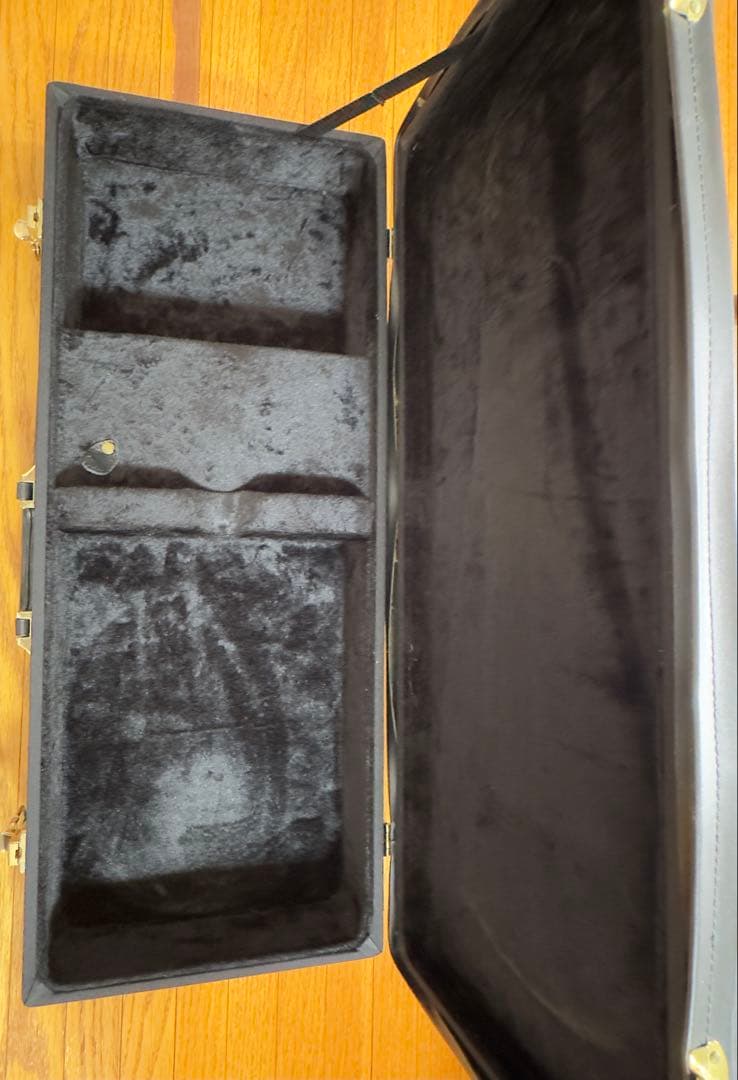 STAFFORD Traditional マンドリン 本体 ハードケース付き