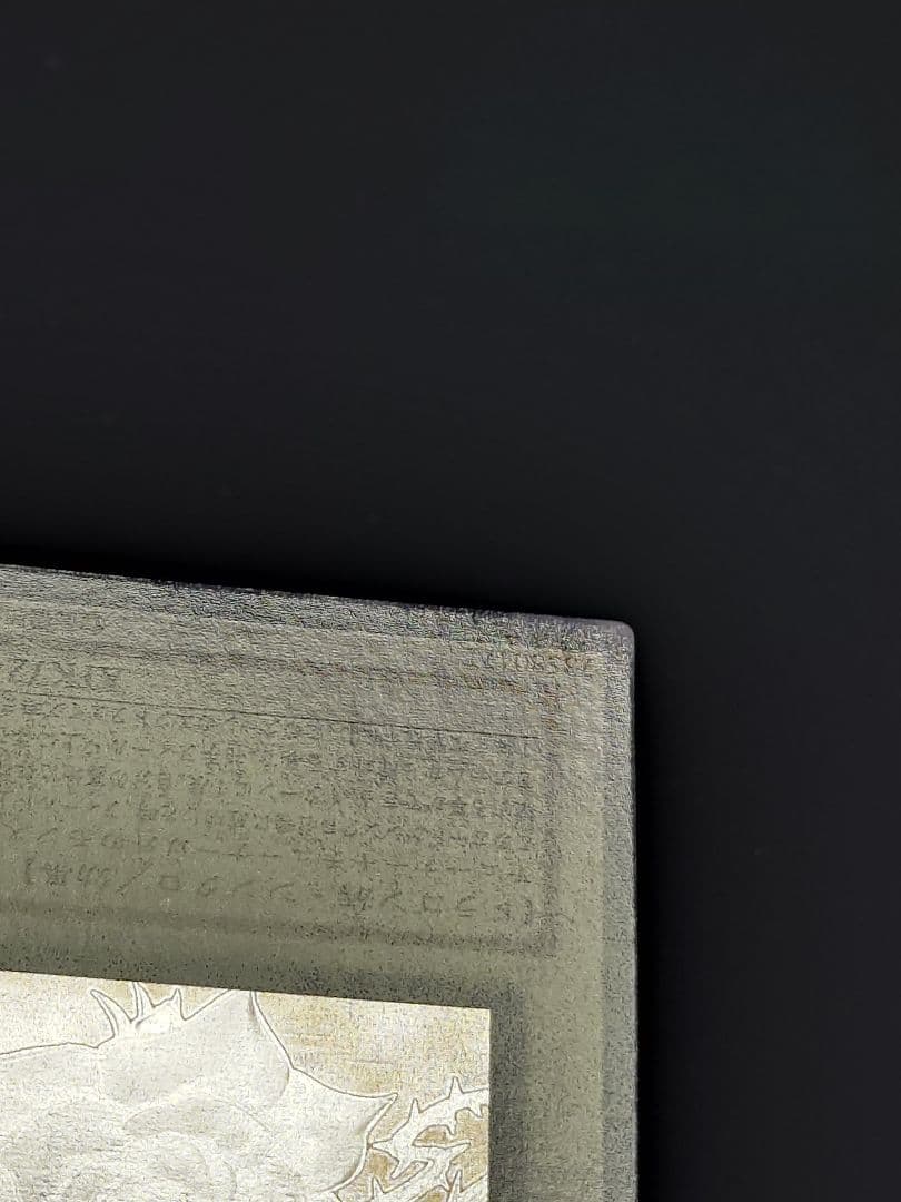 ブラック・ローズ・ドラゴン ホロ