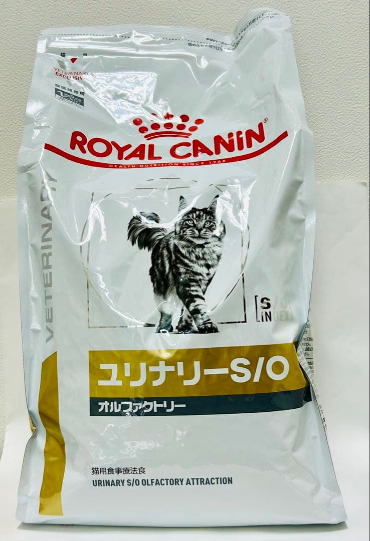 24時間以内発送ロイヤルカナン子猫成長後期10kgx1袋