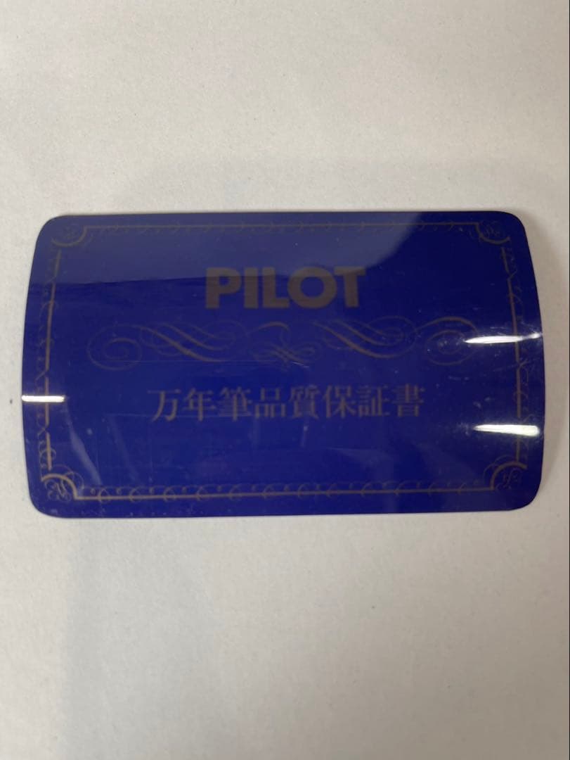 \"希少\"PILOT 18K-750 般若心経 アンティーク万年筆
