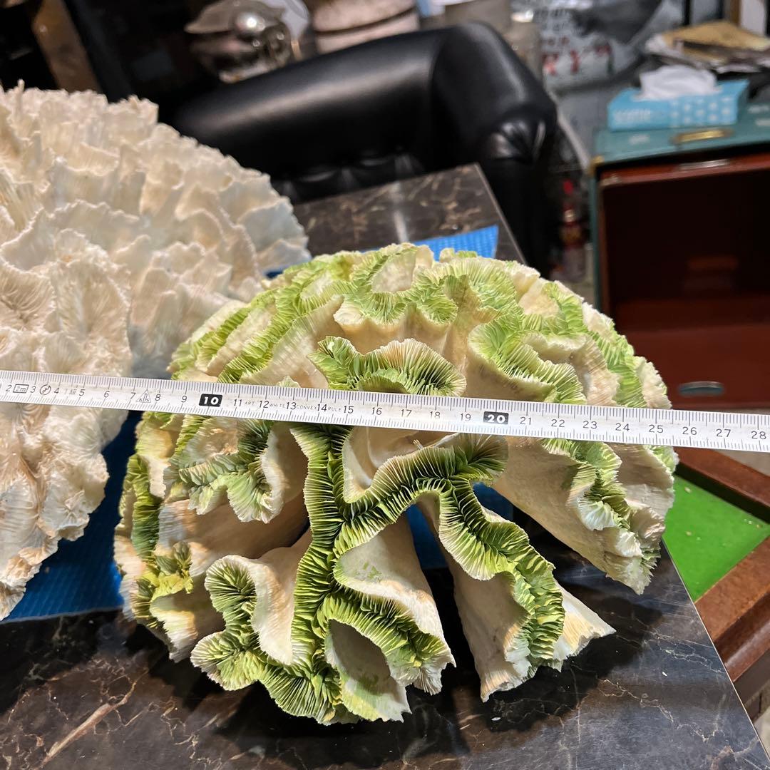 ☆青龍石 親石1点(約18.468kg)約37cm☆ 2025年最新】