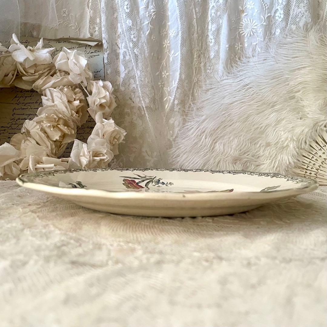 レア】サルグミンヌ フォンタンジュ多色プレートポリクロームフランス