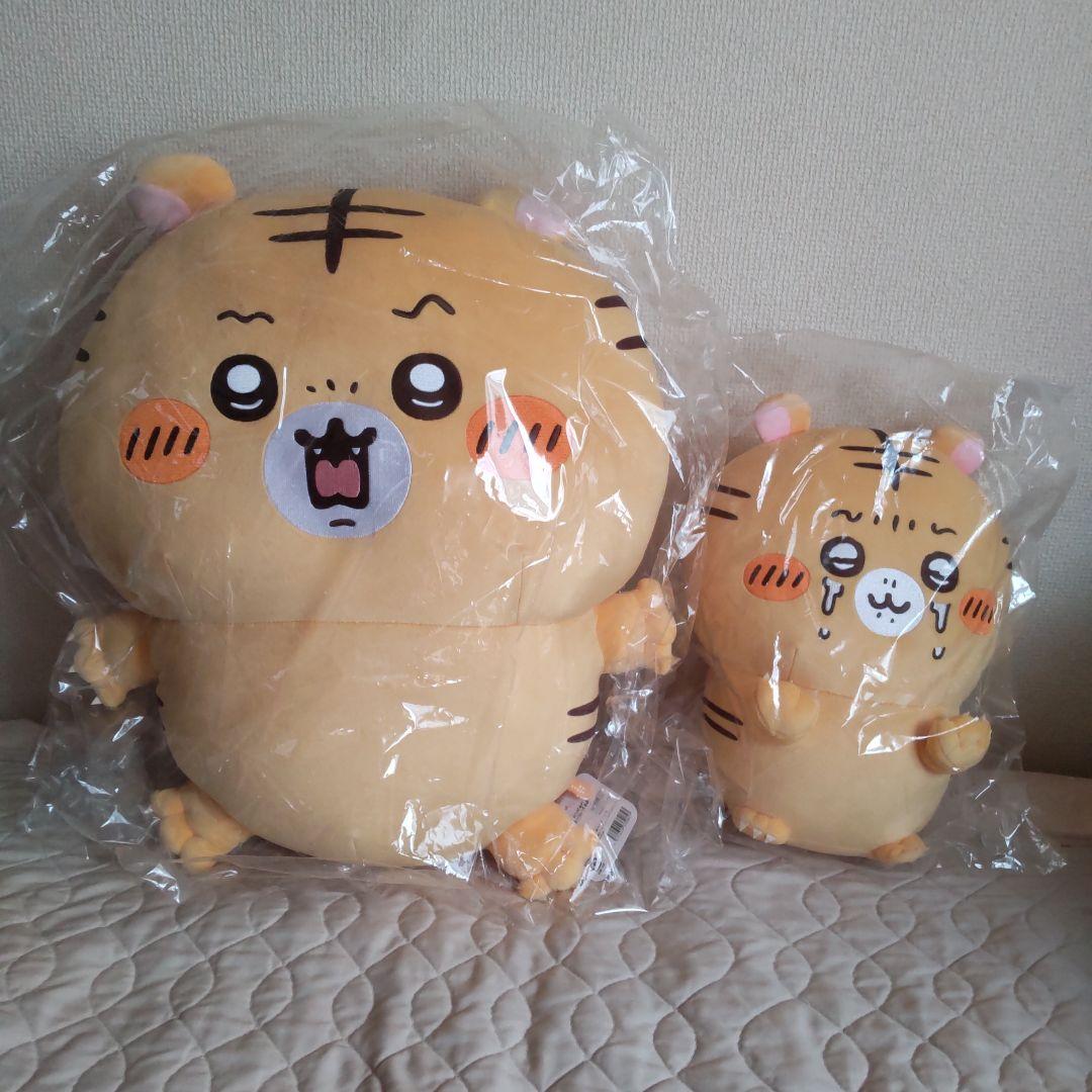 超美品 ミズノ MX ルネサンス XS