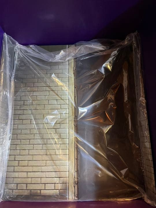 ホットトイズ　ダークナイト　ジョーカー dx11 Special Edition