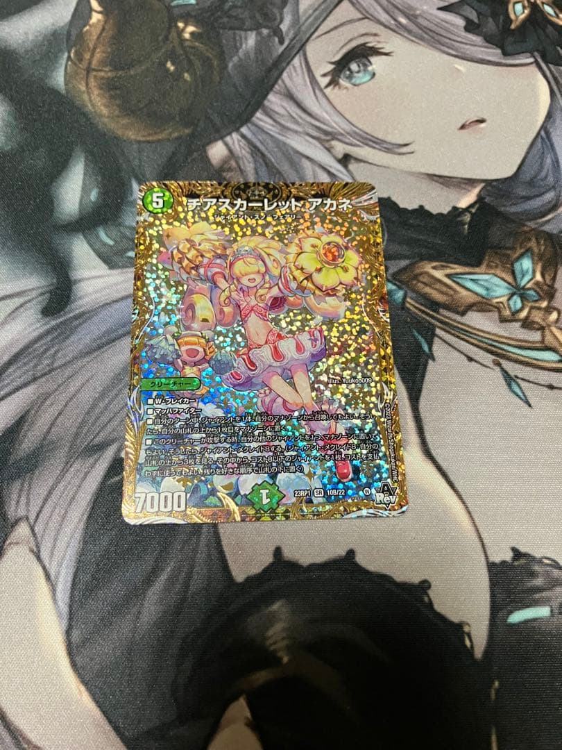 チアスカーレットアカネ 2枚 チアスカーレット アカネ 2枚 - メルカリ