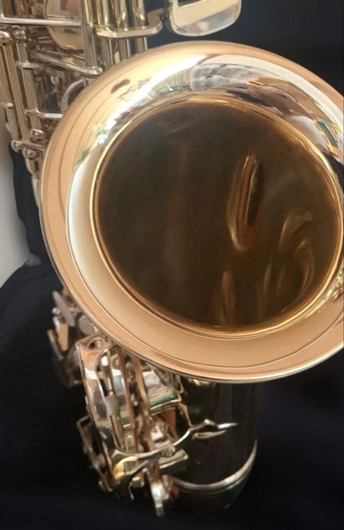美品★アルトサックス　J.Michael AL-500 お手入れセットケース付き