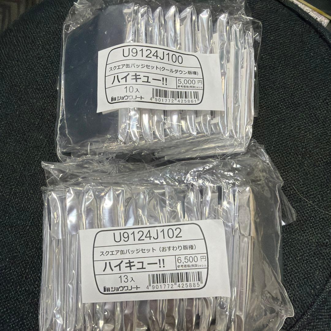 新品 ハイキュー‼︎ スクエア 缶バッジ クールダウン おすわり 2種