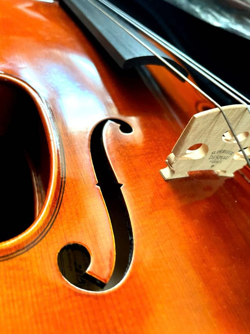 【ケース付属品付き】Eastmanバイオリン