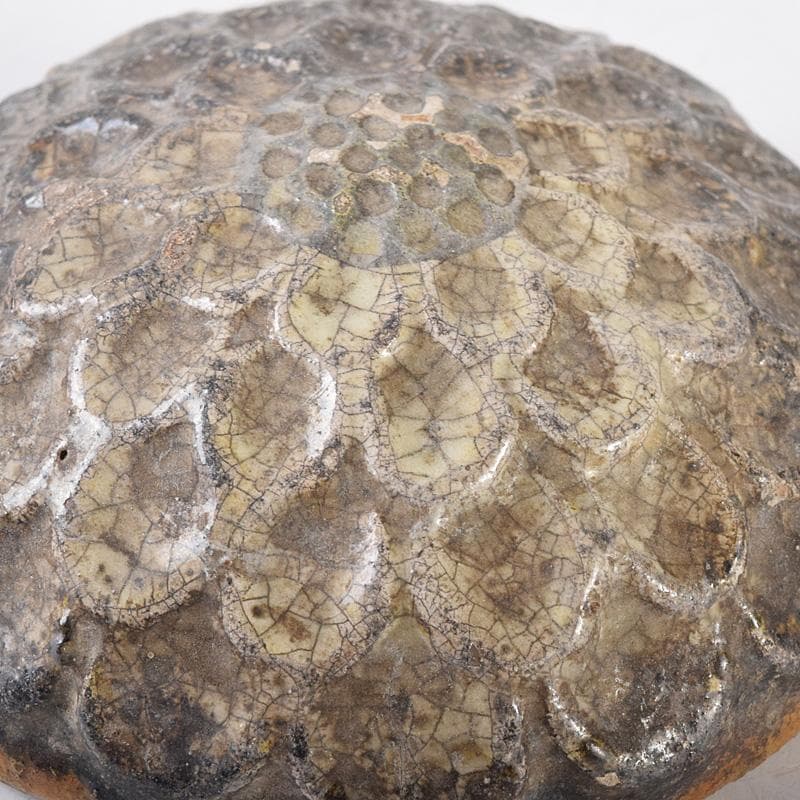 茶道具 大樋焼 菊形 香合 時代箱 N 7468 - メルカリ