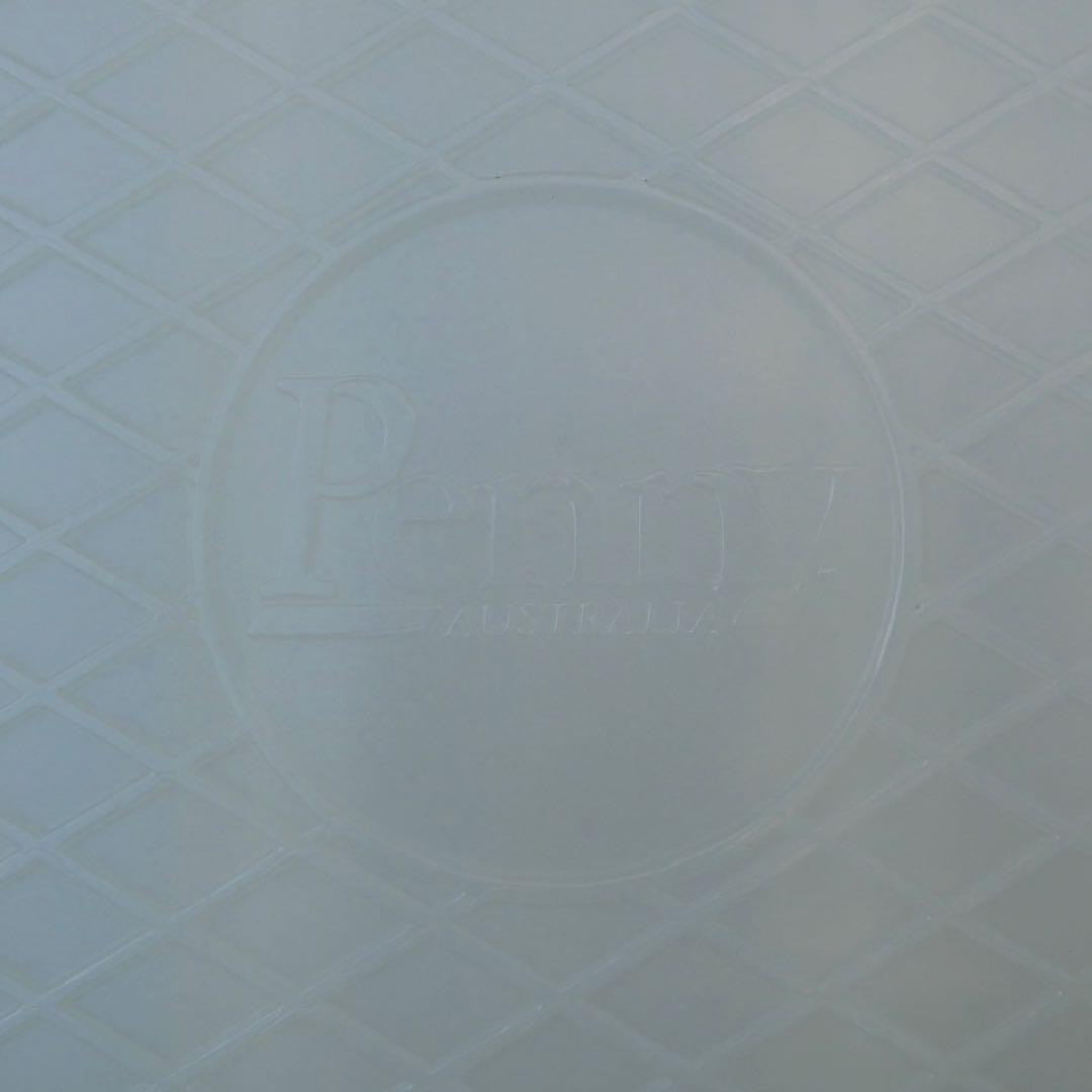 美品【整備済み】ペニー22インチ 蓄光 キャスパー