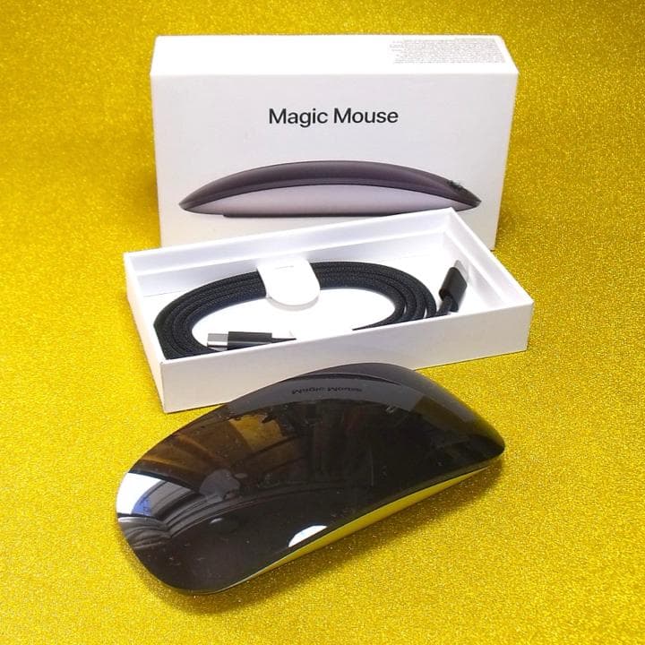 Apple Magic Mouse 本体 USB-C A3204 最新機種 はみ USB-C ブラック