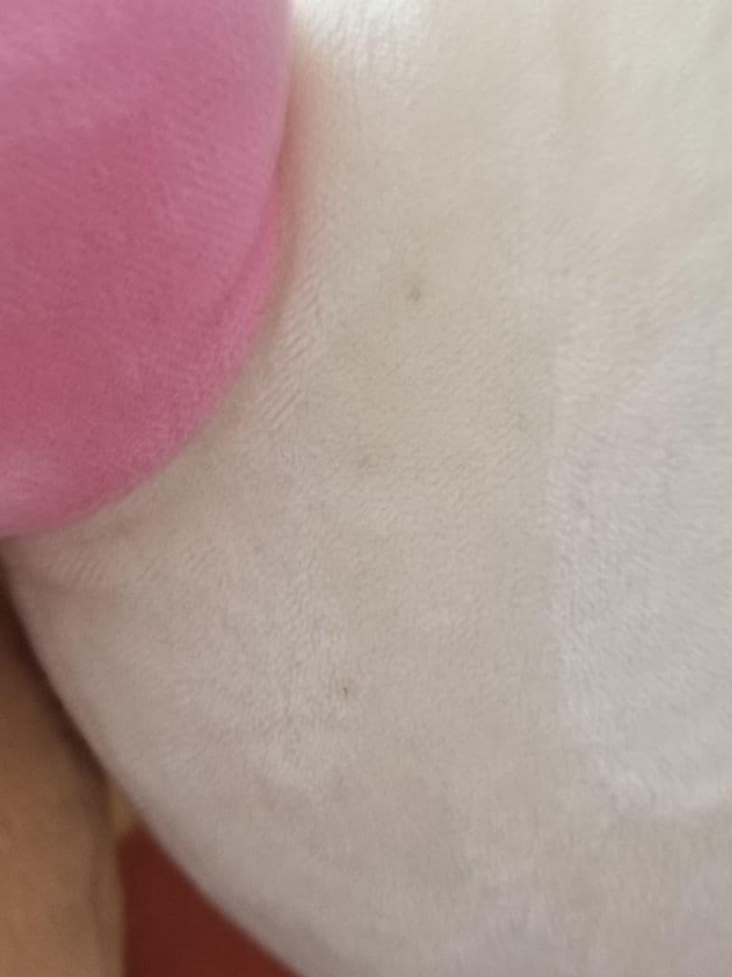 超希少品含む！サンエックス リラックマ まとめ売り♡バラ売り不可❌️