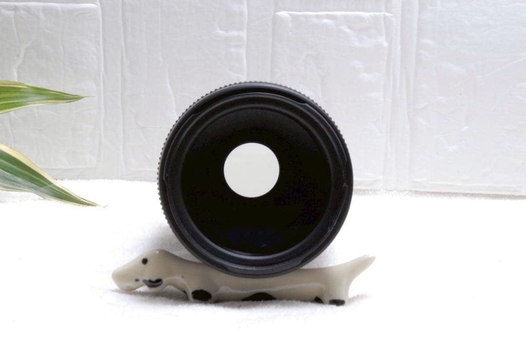 ⭐️キャノン Canon EF 90-300mm F/4.5-5.6 望遠レンズ