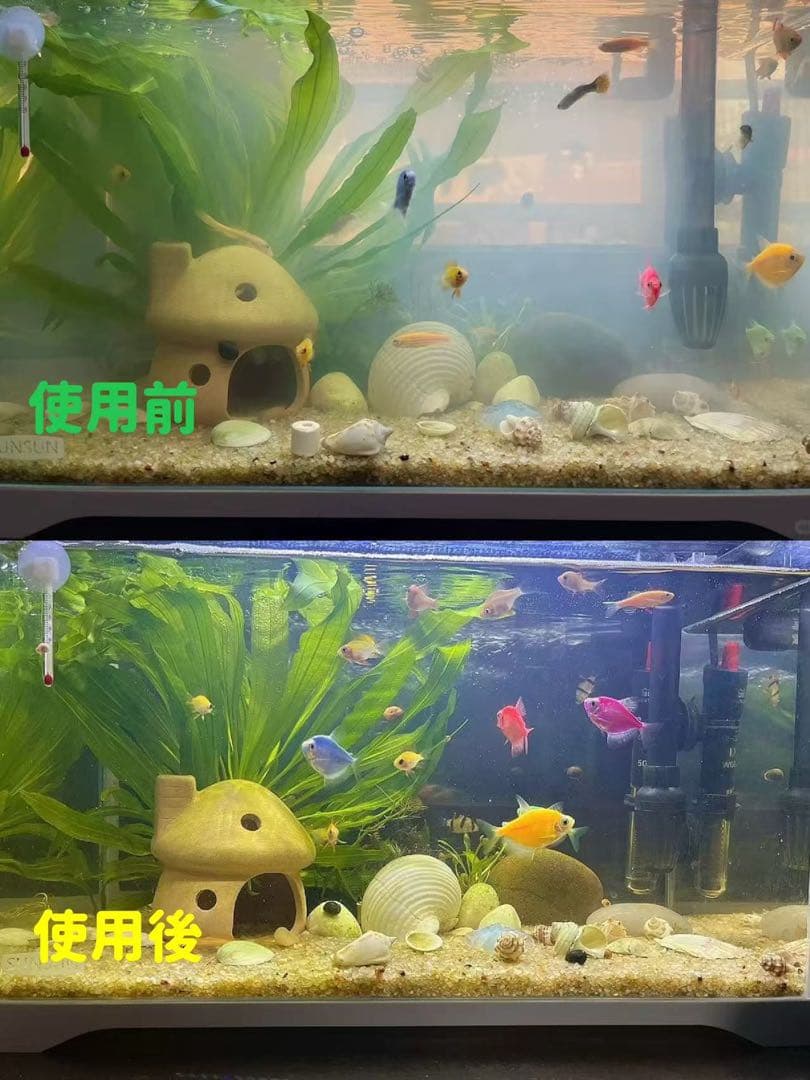 市場最安値20本多孔質セラミック製水槽池用濾過材 淡水魚海水魚メダカ