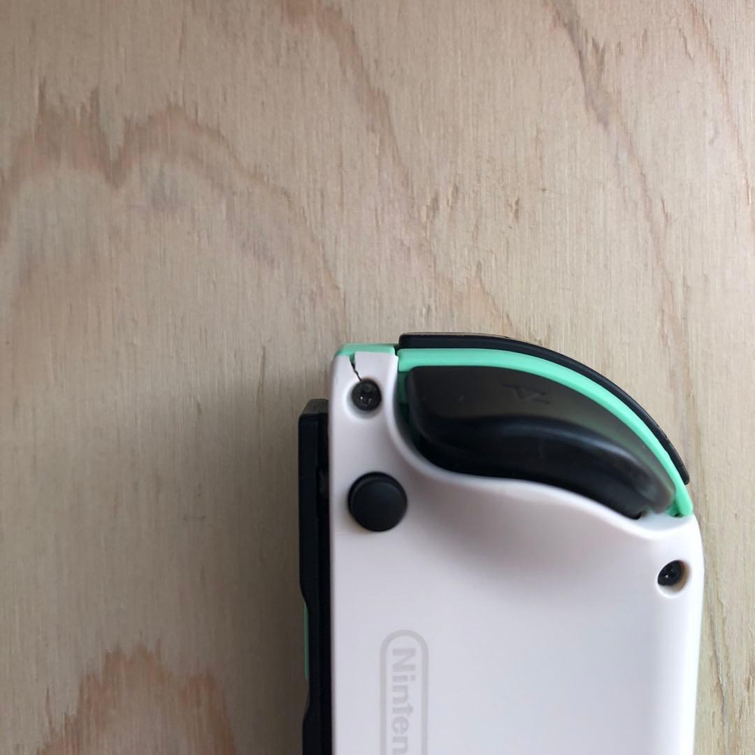 Nintendo Switch 本体　あつまれ どうぶつの森Ver ジャンク