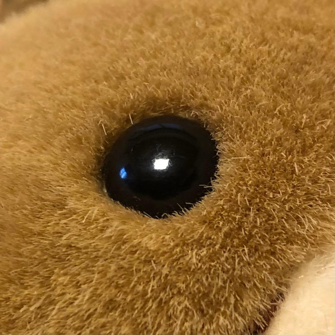 セキグチ　ウミガメ　亀　かめ　Earth Wind ぬいぐるみ