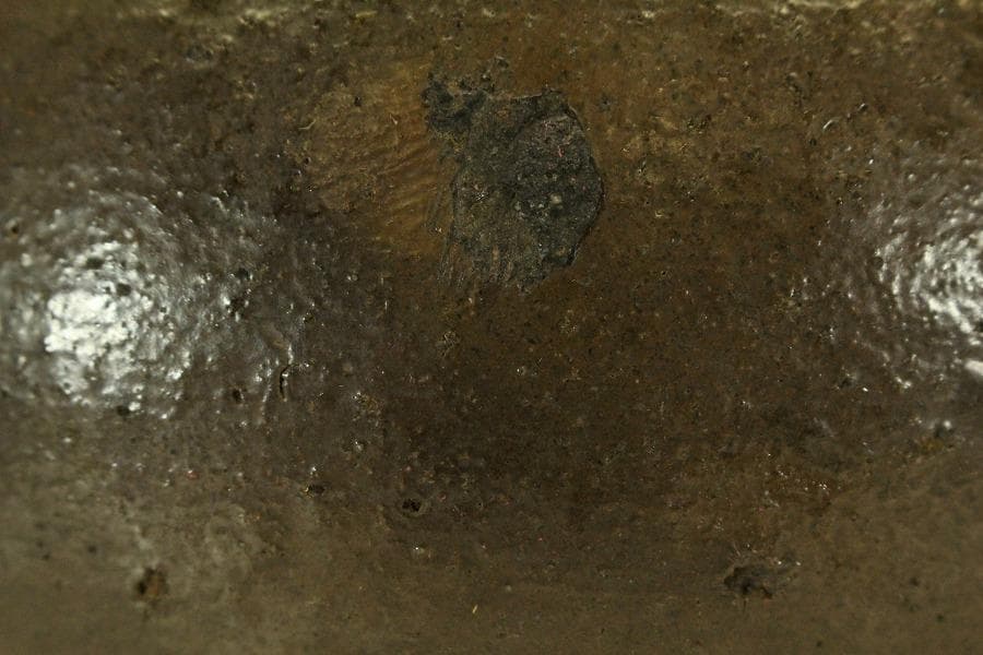 六古窯 常滑 四耳壷 茶壷 茶道具 高25cm(LC644)