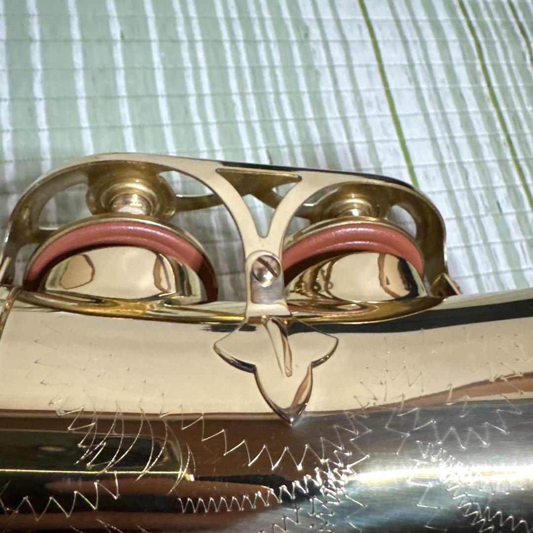 SELVA セルバ アルトサックス SAS-100 ケース付き　管楽器　音楽