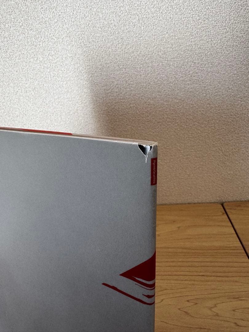 【美品】ポルノグラフィティ 過去レアグッズ 6点セット