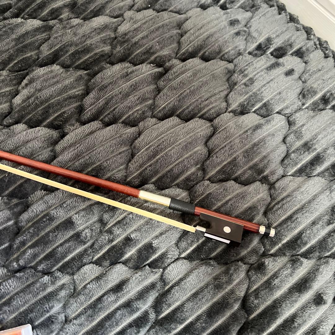 【美品｜ケース付】HALLSTATT ハルシュタット V-12