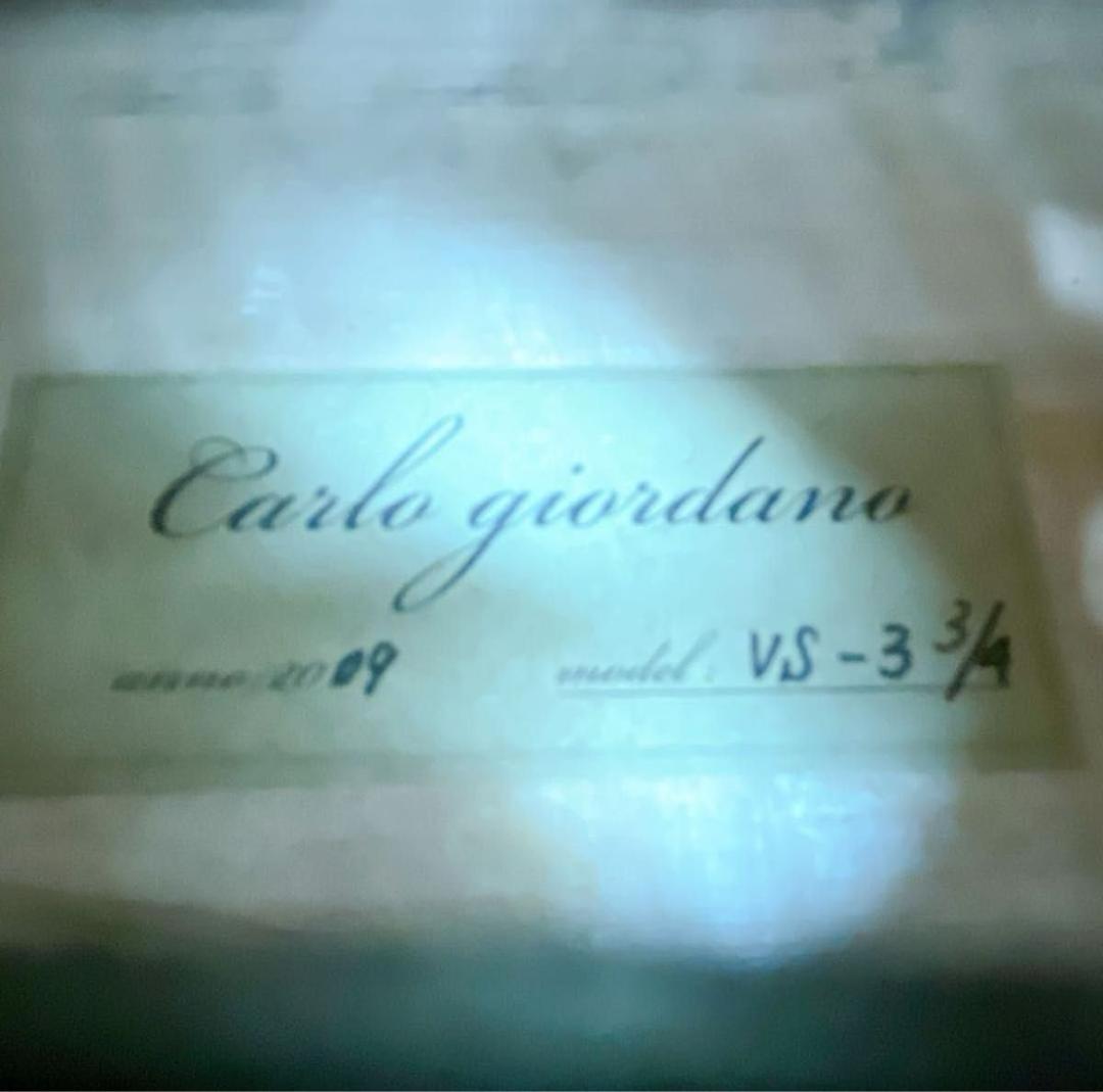 カルロ ジョルダーノ バイオリン VS-3 3/4 2009年 希少 虎杢 高級