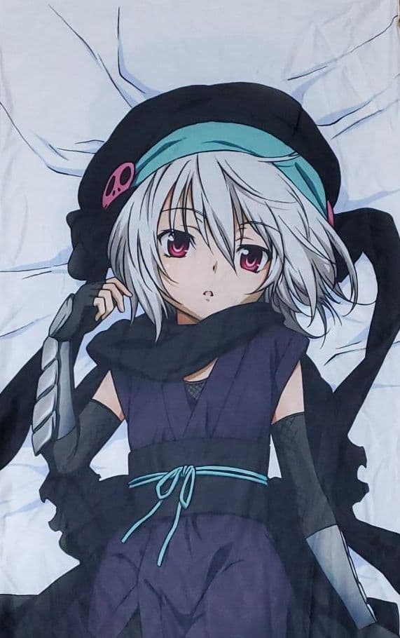 織田信奈の野望 蜂須賀五右衛門 抱き枕カバー