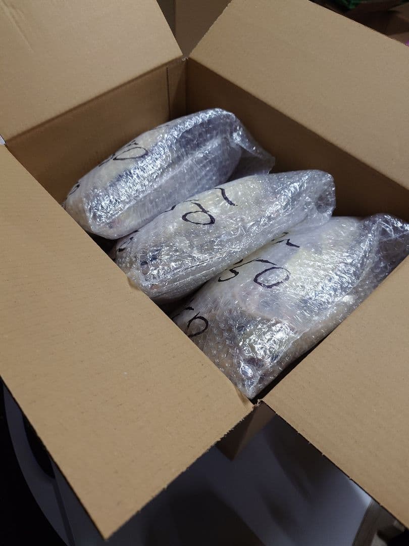 冷凍ラット 250~300g 30匹 - WWW.FORDALTAMURA.IT