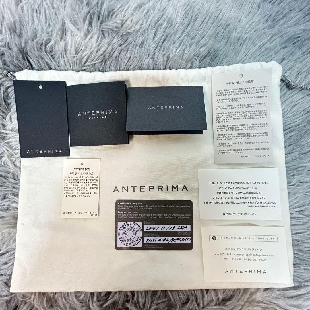 【美品】アンテプリマ ワイヤーバッグ フィオリトゥーラ ローズシルバーゴールド