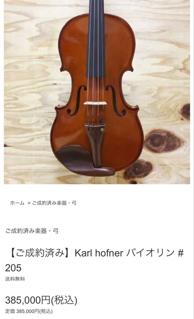 Tのセレクトしショップ　カールヘフナー バイオリン、ケース 、弓付き。