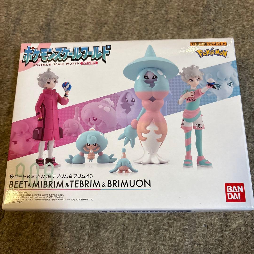 ポケモンスケールワールド ガラル地方 ビート＆ミブリム＆テブリム