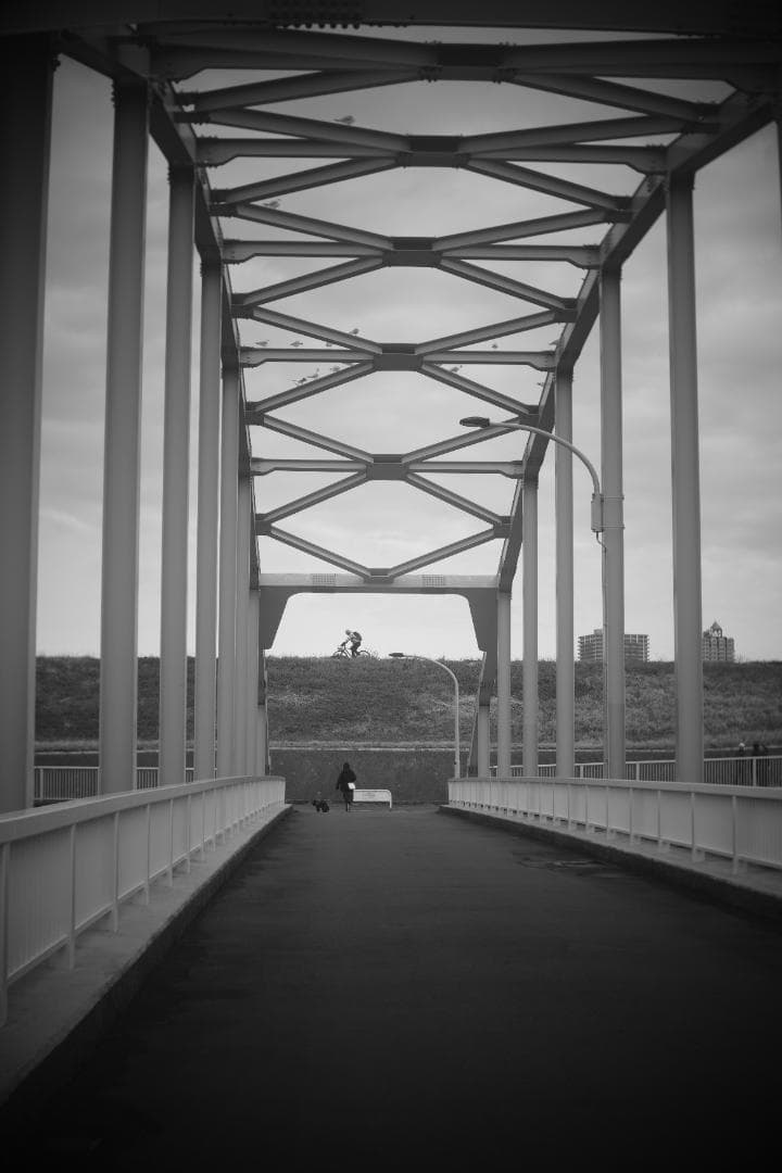 限界値下げ！Som Berthiot Cinor 50mm f3.5 M改 銘玉 - メルカリ