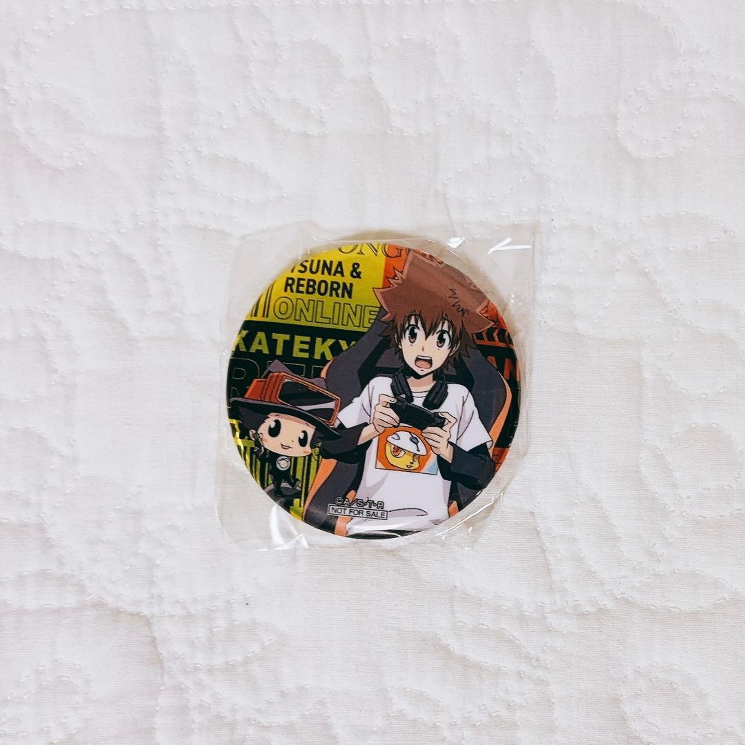 家庭教師ヒットマンREBORN! 沢田綱吉 缶バッジ アニメイト 特典 - メルカリ