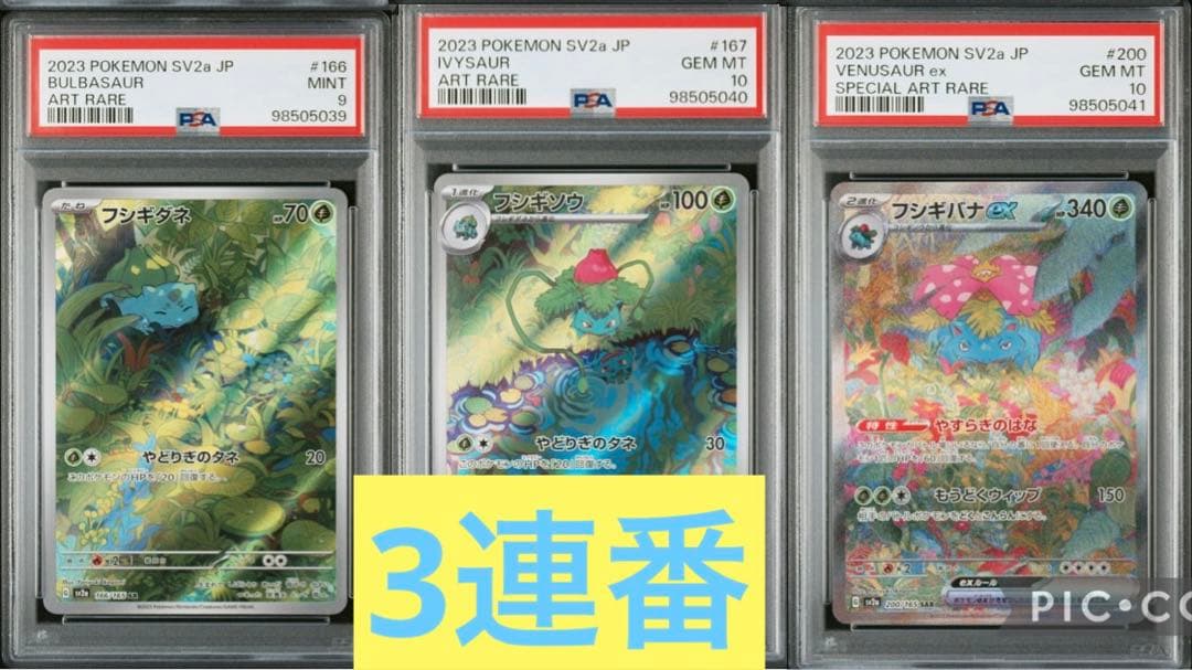 連番】フシギバナex sar psa10 進化ライン フシギバナex SAR PSA10 連