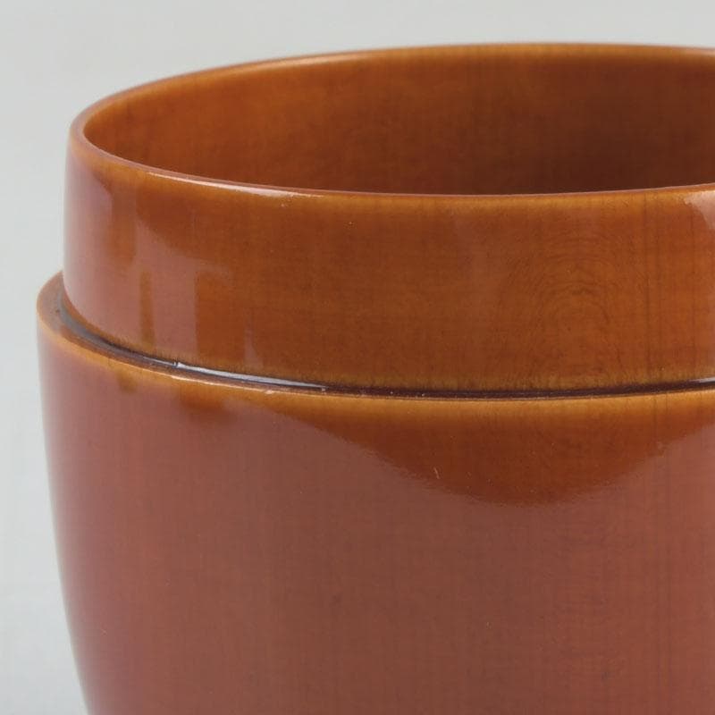 茶道具 飛騨春慶塗 中棗 箱付 V 9687