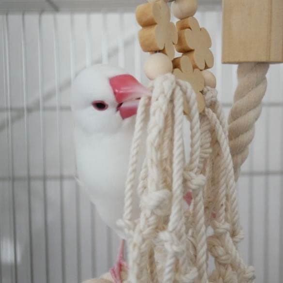 安全で安心《お花のナチュラルかみかみ》鳥おもちゃ インコおもちゃ