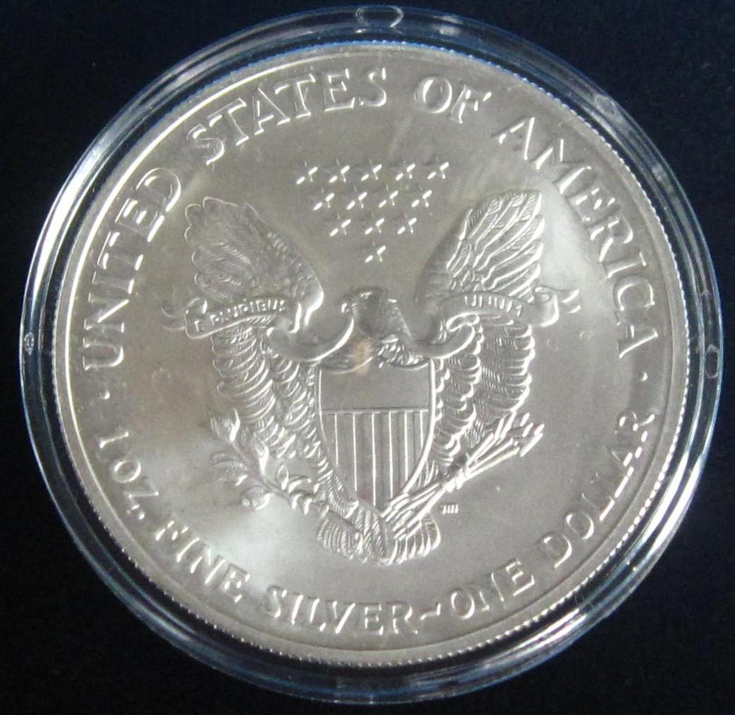 2003年 カラー アメリカンシルバーイーグル 1オンス1ドル銀貨