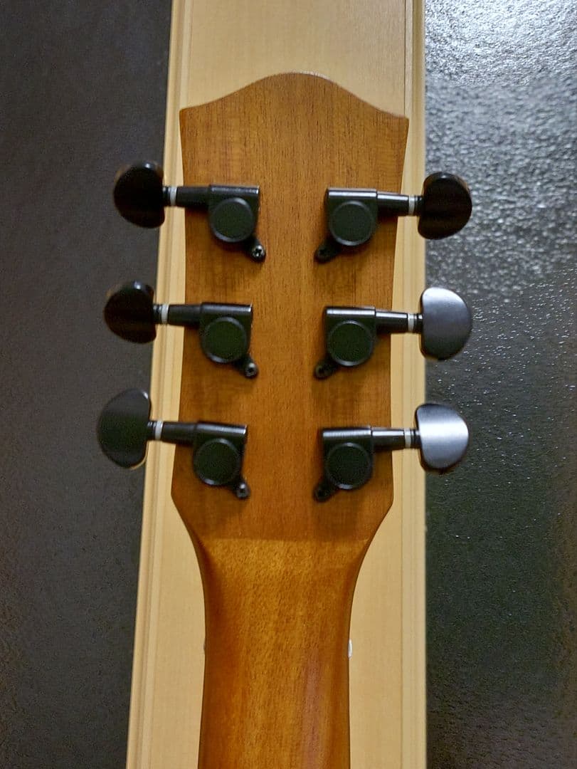 【美品】DONNER DAG-1C アコースティックギター