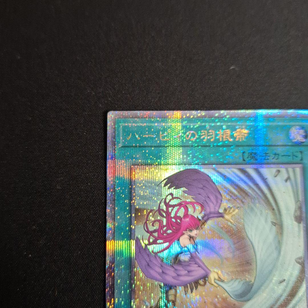 遊戯王　ハーピィの羽根帚　25thシク　絵違い
