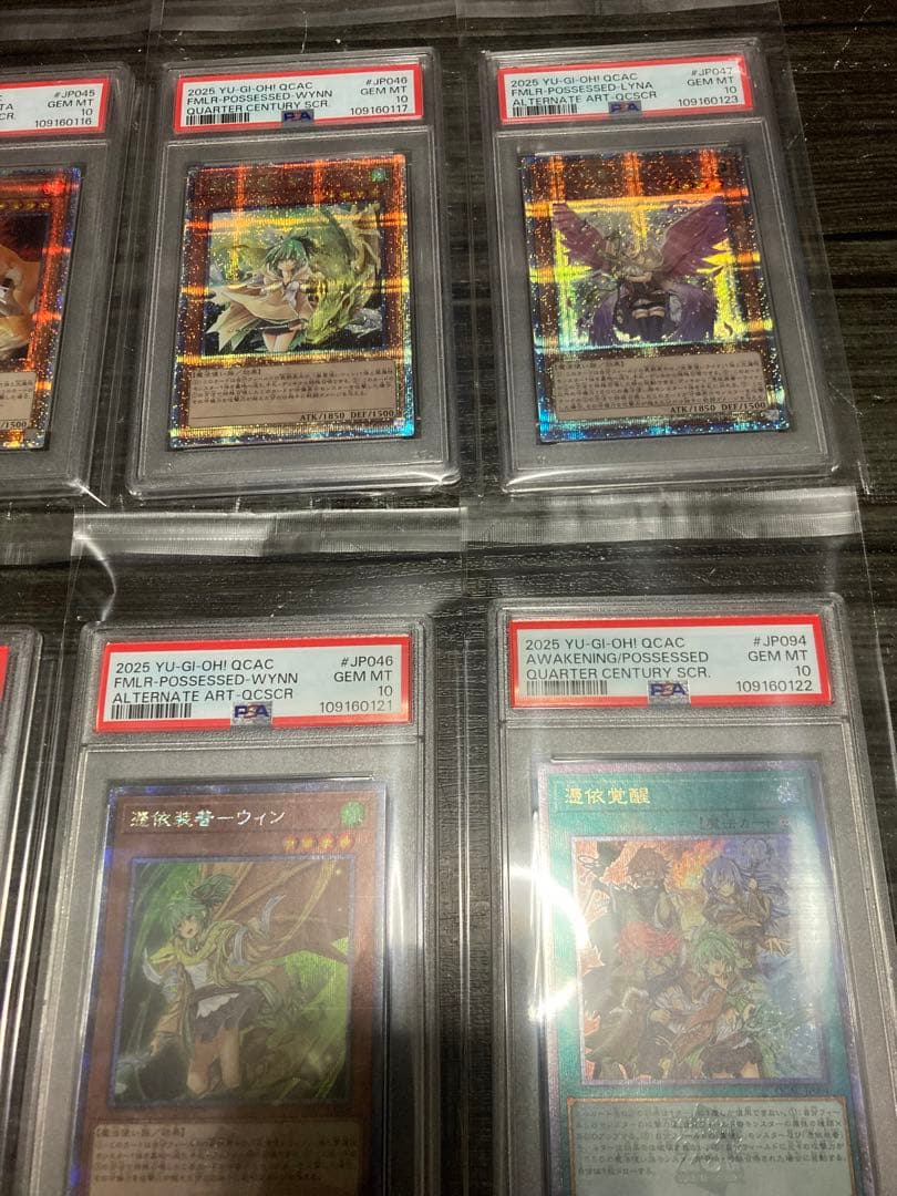 憑依装着　ヒータ　ウィン　アウス　エリア　ライナ　25th psa10 絵違い