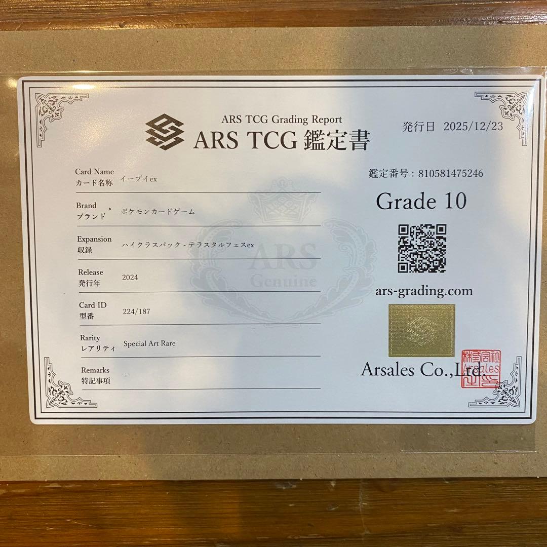 ARS10 鑑定書　イーブイex SAR SV8a テラスタルフェス