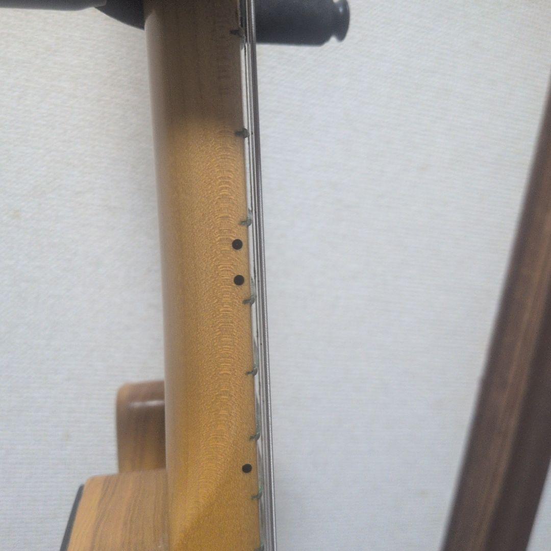 Vanzandt TLV-THINLINE 　ヴァンザント　テレキャスター