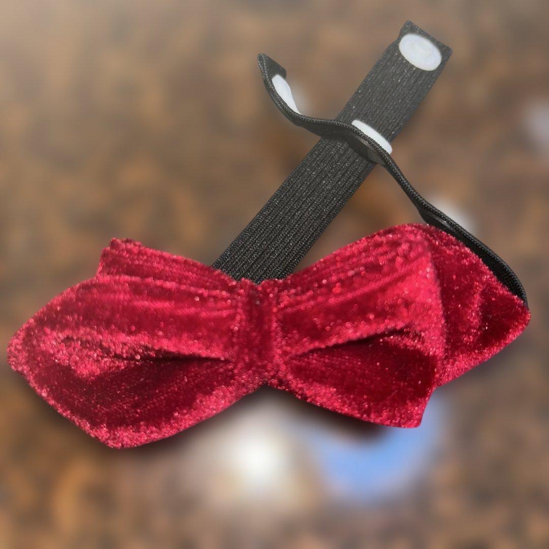 デニム犬服 ベスト&シャツ スタイル 小型犬用