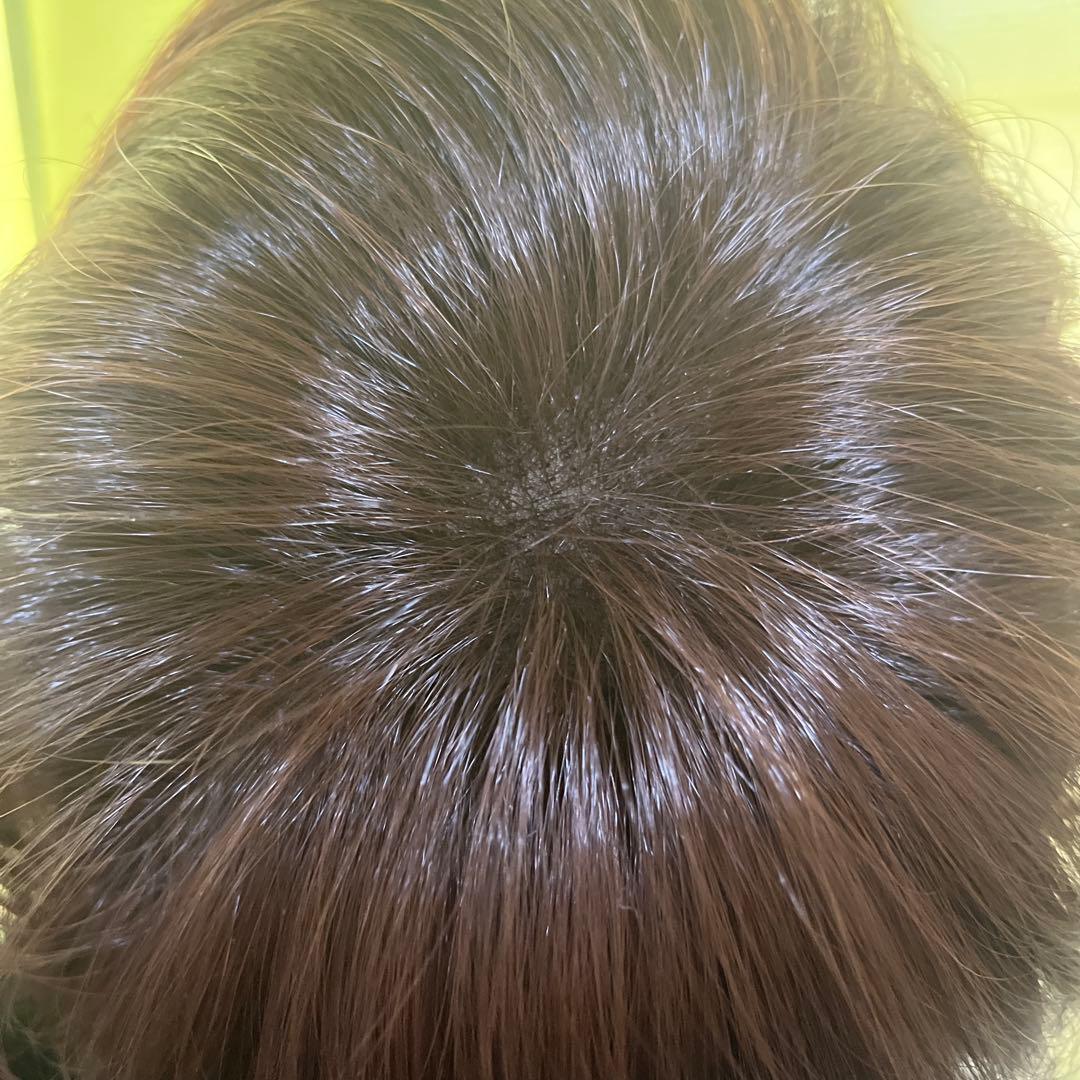 大幅値下げ⭐︎マリブウィッグ　ショートボブ人毛MIX／値下げ交渉可