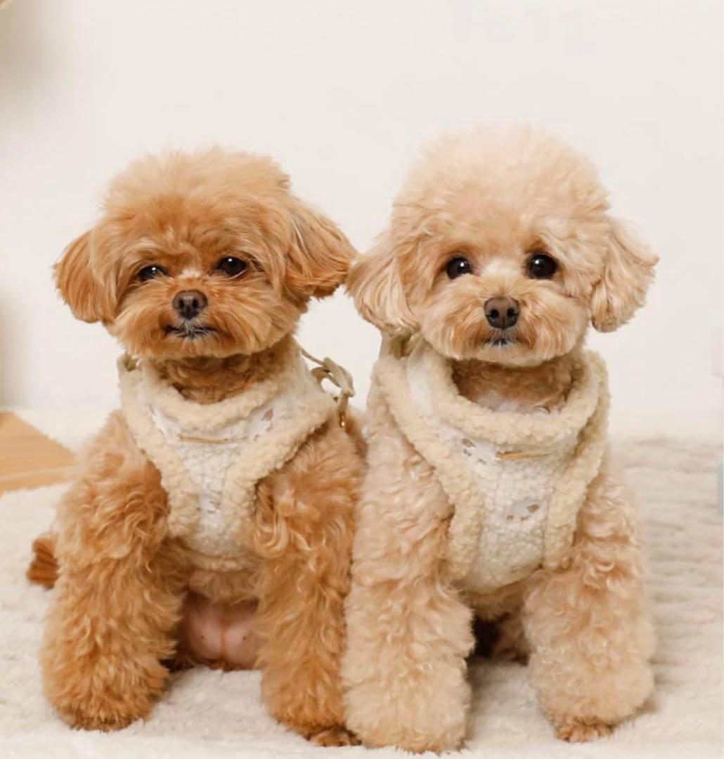 新品未使用】moncheri ひつじさん柄ハーネス＋リードSET Sサイズ