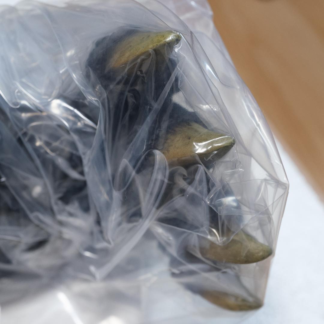 【内容物未開封】ギガンティックシリーズ ゴジラ(1995) ファイナルバトル