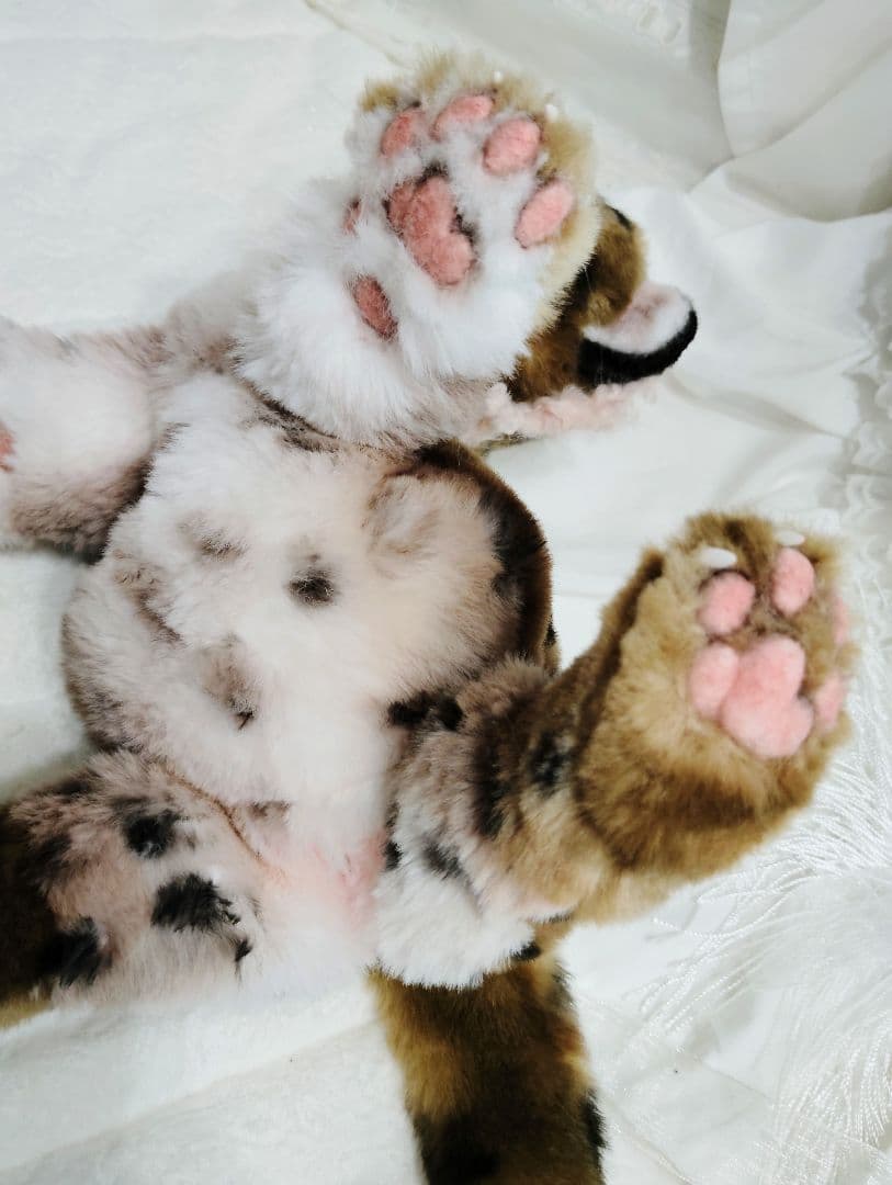 まなあきちゃん❤オーダー❤ウンピョウベビー♡アートドール