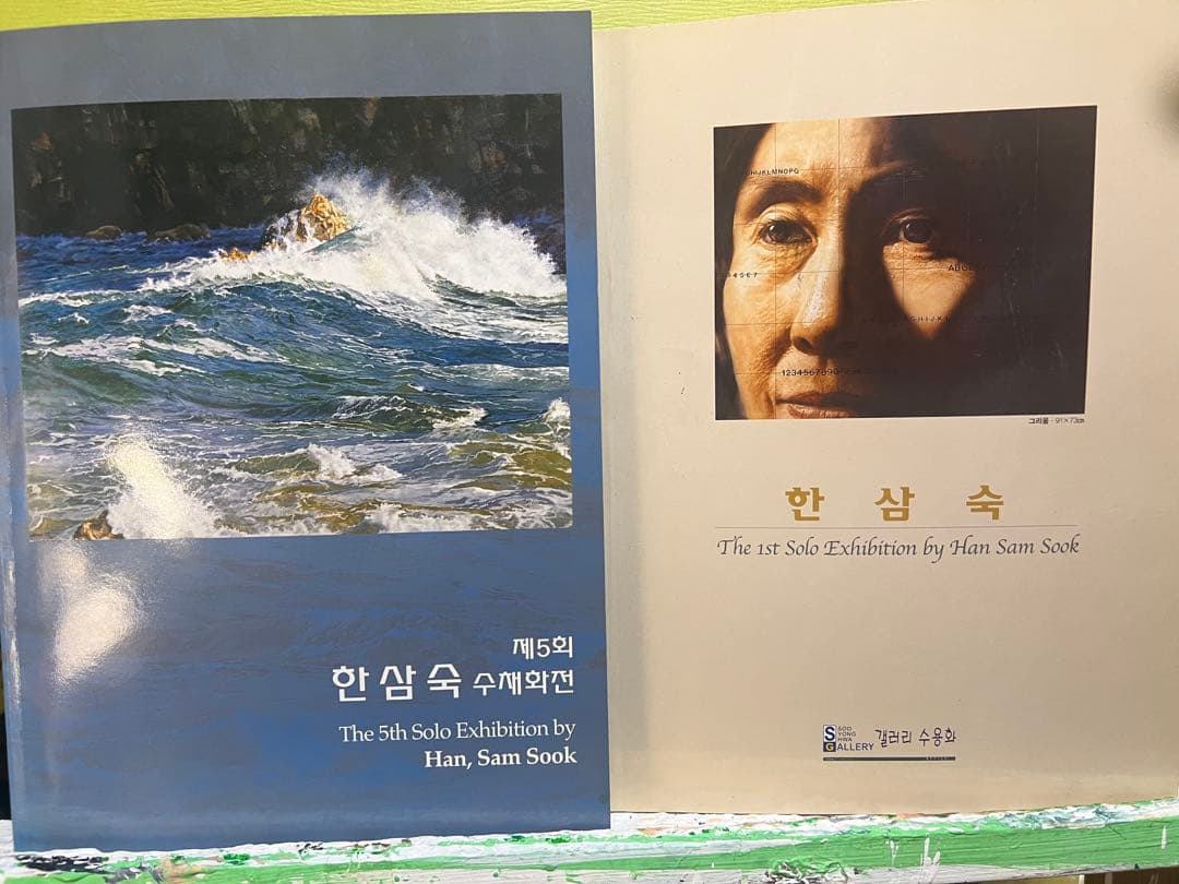 Hａn S am Ｓook 韓国女流作家、真作。 波うねる東海岸。